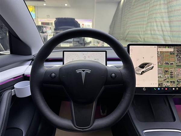 Model 3 2021款 改款 标准续航后驱升级版 3D1
