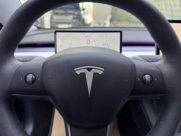 Model 3 2021款 改款 标准续航后驱升级版 3D1