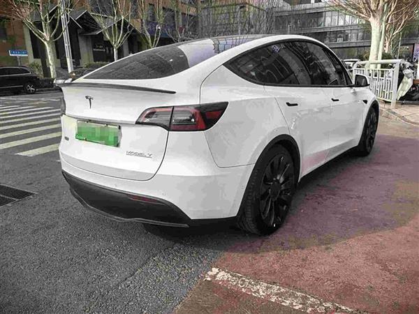 Model Y 2022款 Performance高性能全轮驱动版