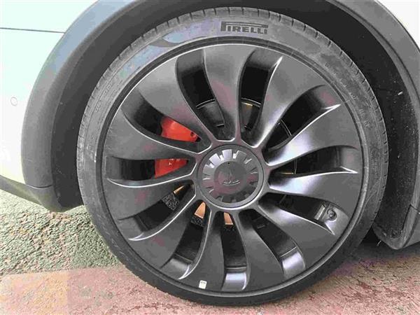 Model Y 2022款 Performance高性能全轮驱动版
