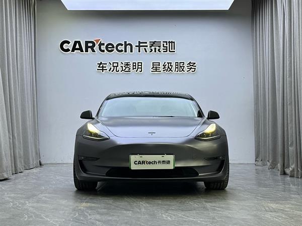 Model 3 2021款 Performance高性能全轮驱动版