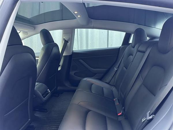 Model 3 2021款 Performance高性能全轮驱动版