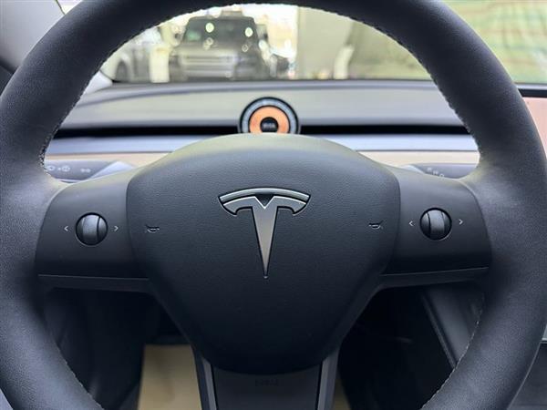Model 3 2021款 Performance高性能全轮驱动版