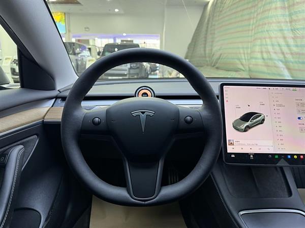 Model 3 2021款 Performance高性能全轮驱动版
