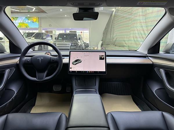 Model 3 2021款 Performance高性能全轮驱动版