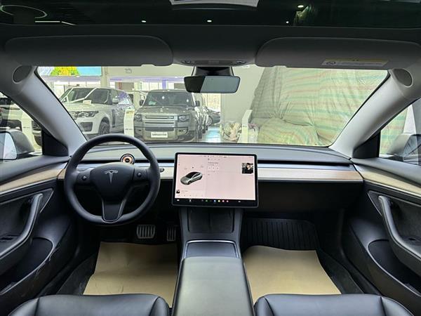 Model 3 2021款 Performance高性能全轮驱动版