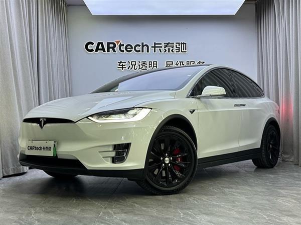 Model X 2020款 长续航升级版