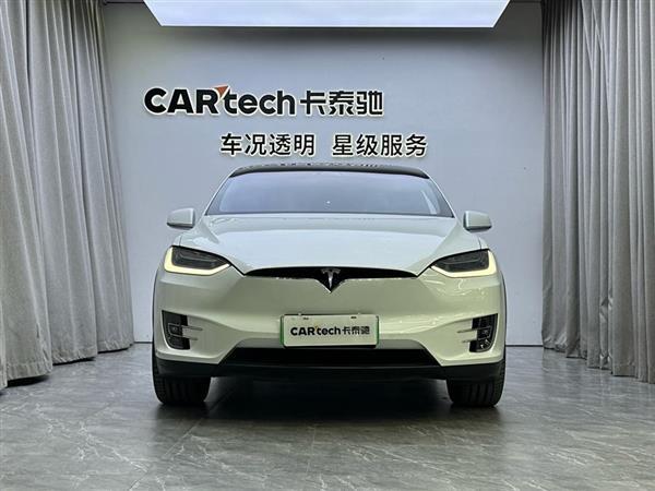 Model X 2020款 长续航升级版