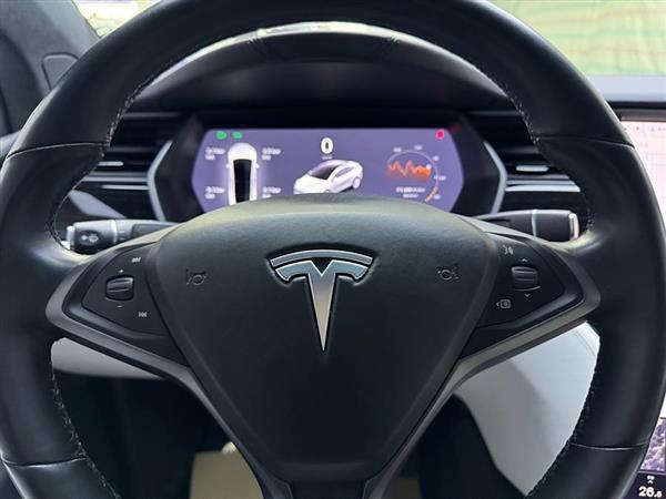 Model X 2020款 长续航升级版