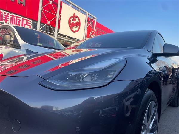 Model Y 2021款 长续航全轮驱动版