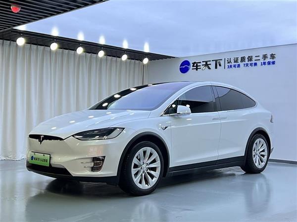 Model X 2017款 Model X 100D 长续航版
