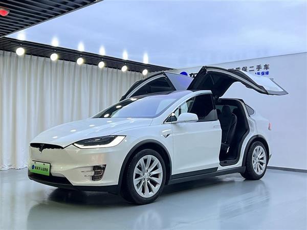 Model X 2017款 Model X 100D 长续航版