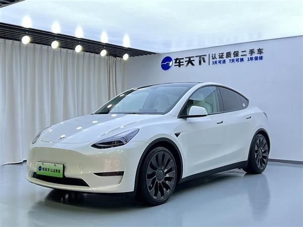 Model Y 2021款 Performance高性能全轮驱动版