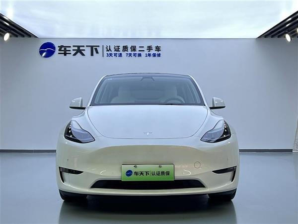 Model Y 2021款 Performance高性能全轮驱动版