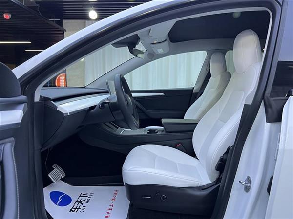 Model Y 2021款 Performance高性能全轮驱动版