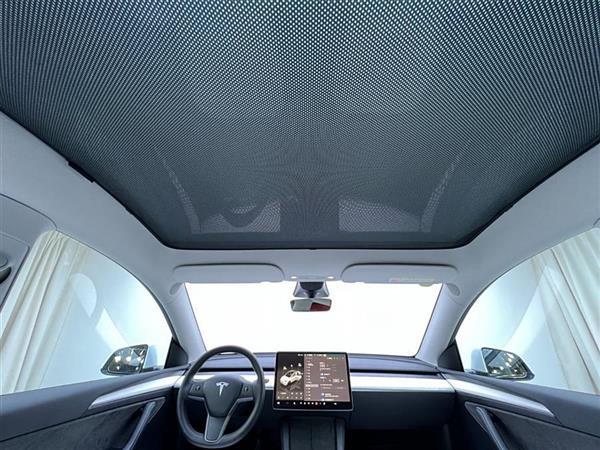 Model Y 2021款 Performance高性能全轮驱动版