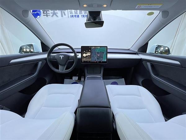 Model Y 2021款 Performance高性能全轮驱动版