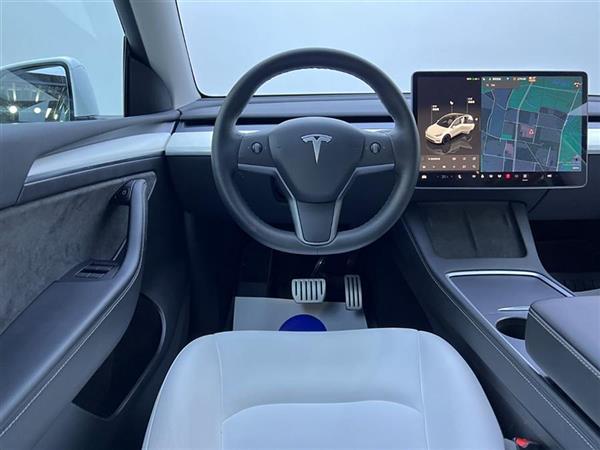 Model Y 2021款 Performance高性能全轮驱动版
