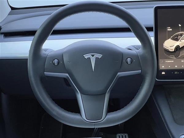 Model Y 2021款 Performance高性能全轮驱动版