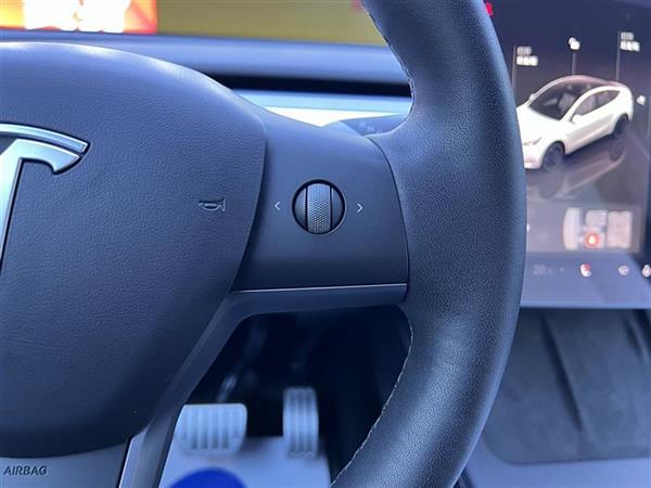 Model Y 2021款 Performance高性能全轮驱动版