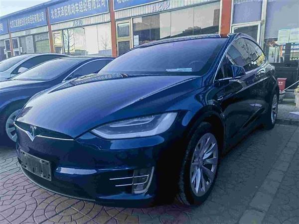 Model X 2016款 Model X 75D