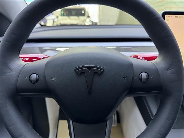Model Y 2023款 高性能全轮驱动版