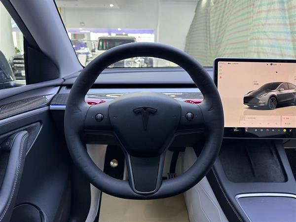 Model Y 2023款 高性能全轮驱动版