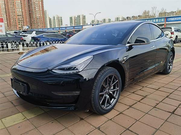 Model 3(进口) 2019款 长续航后驱版