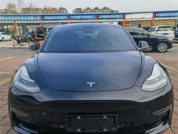 Model 3(进口) 2019款 长续航后驱版