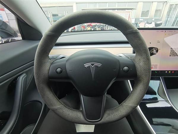 Model 3(进口) 2019款 长续航后驱版