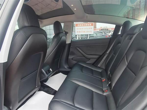 Model 3(进口) 2019款 长续航后驱版