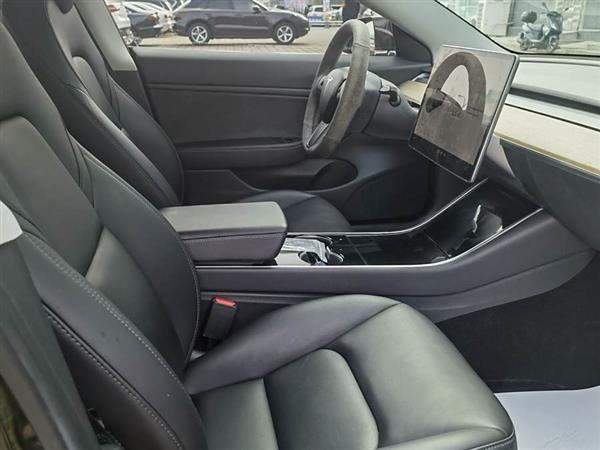 Model 3(进口) 2019款 长续航后驱版