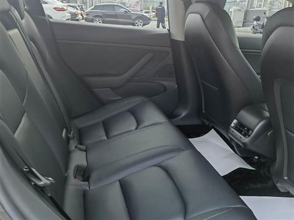 Model 3(进口) 2019款 长续航后驱版