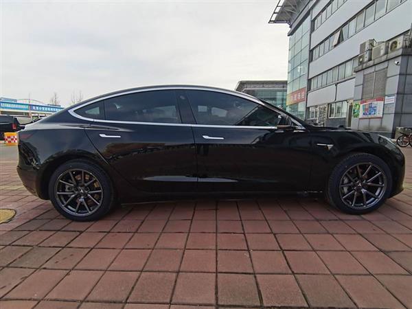 Model 3(进口) 2019款 长续航后驱版