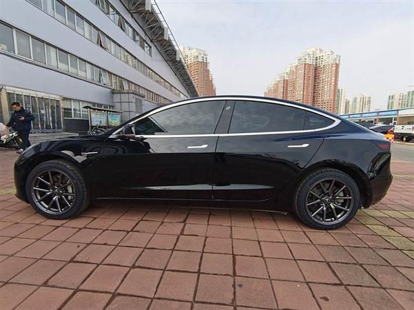 Model 3(进口) 2019款 长续航后驱版