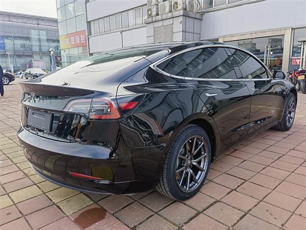 Model 3(进口) 2019款 长续航后驱版