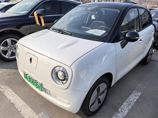 欧拉黑猫 2021款 301km 基础型