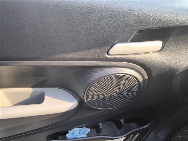 欧拉黑猫 2021款 301km 基础型