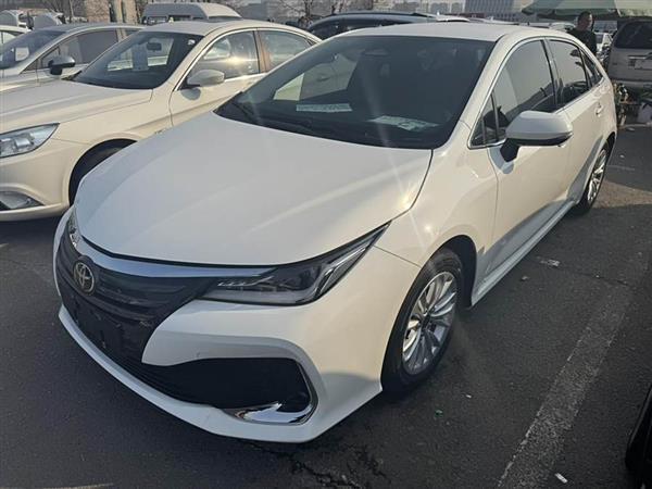 亚洲狮 2023款 2.0L 精英版