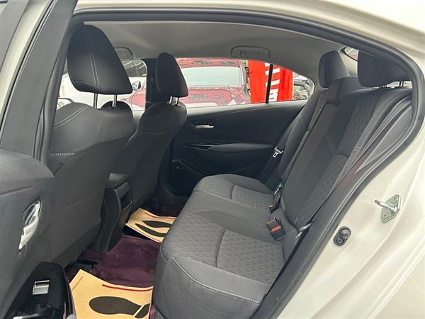 亚洲狮 2023款 2.0L 先锋版
