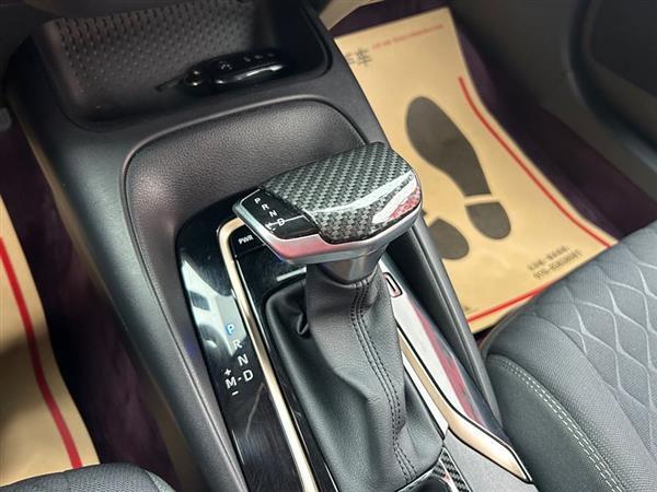 亚洲狮 2023款 2.0L 先锋版