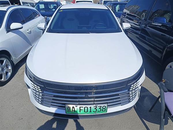 驱逐舰05 2024款 荣耀版 DM-i 55KM 豪华型
