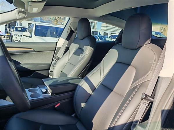 Model 3 2022款 Performance高性能全轮驱动版