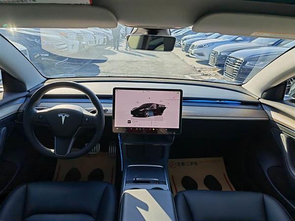 Model 3 2022款 Performance高性能全轮驱动版