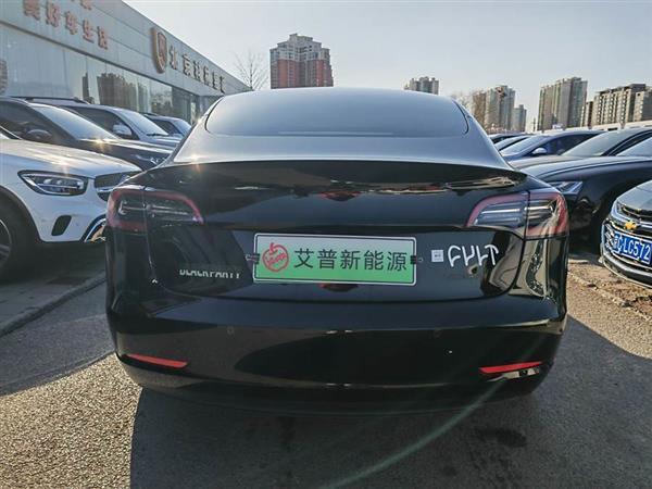 Model 3 2022款 Performance高性能全轮驱动版