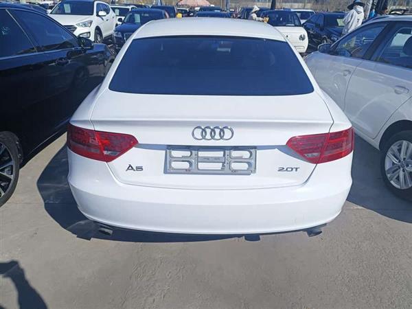 奥迪A5(进口) 2010款 2.0TFSI Sportback 舒适型