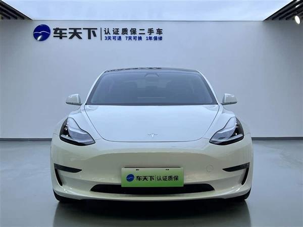 Model 3 2020款 改款 长续航后轮驱动版
