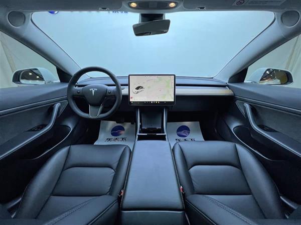 Model 3 2020款 改款 长续航后轮驱动版