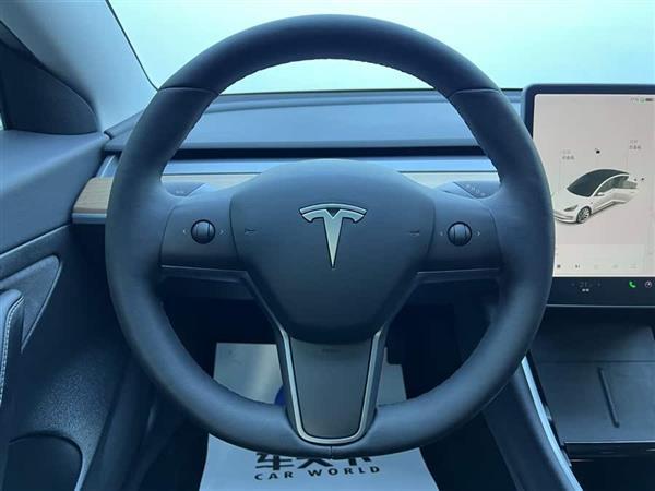 Model 3 2020款 改款 长续航后轮驱动版