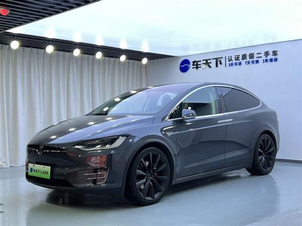 Model X 2016款 Model X P100D Performance高性能版